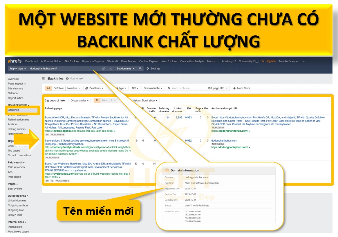 Hạn chế về backlink chất lượng