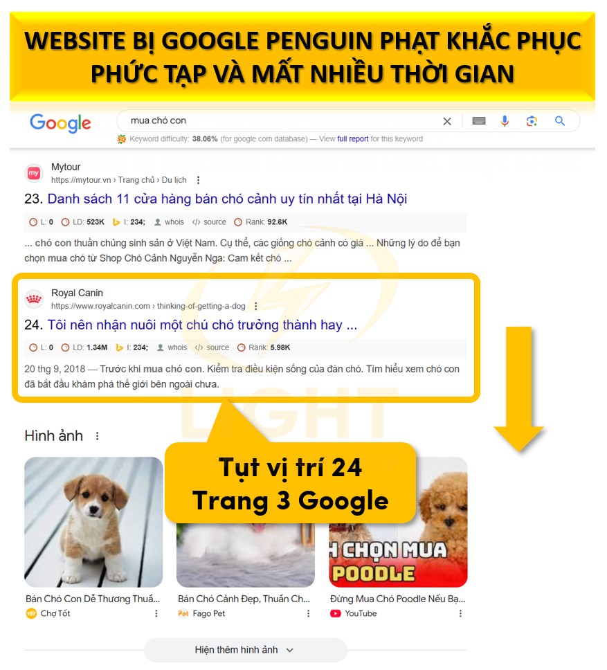 Website bị Google Penguin phạt phải trải qua quá trình khắc phục phức tạp và mất nhiều thời gian để phục hồi