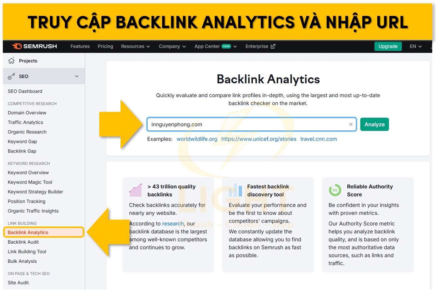 Dán tên miền vào ô URL trong phần Backlink Analytics