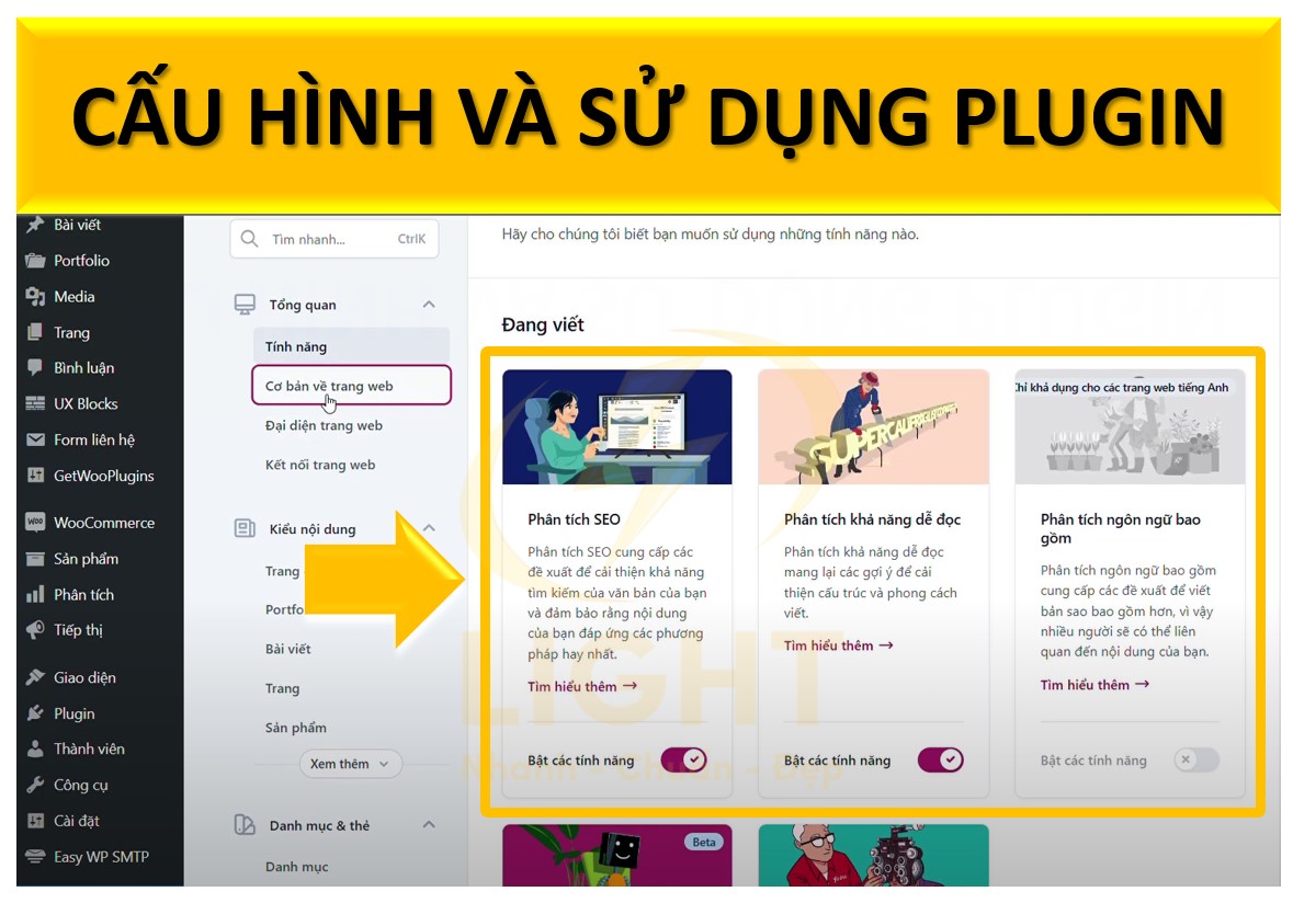 Cấu hình và sử dụng plugin