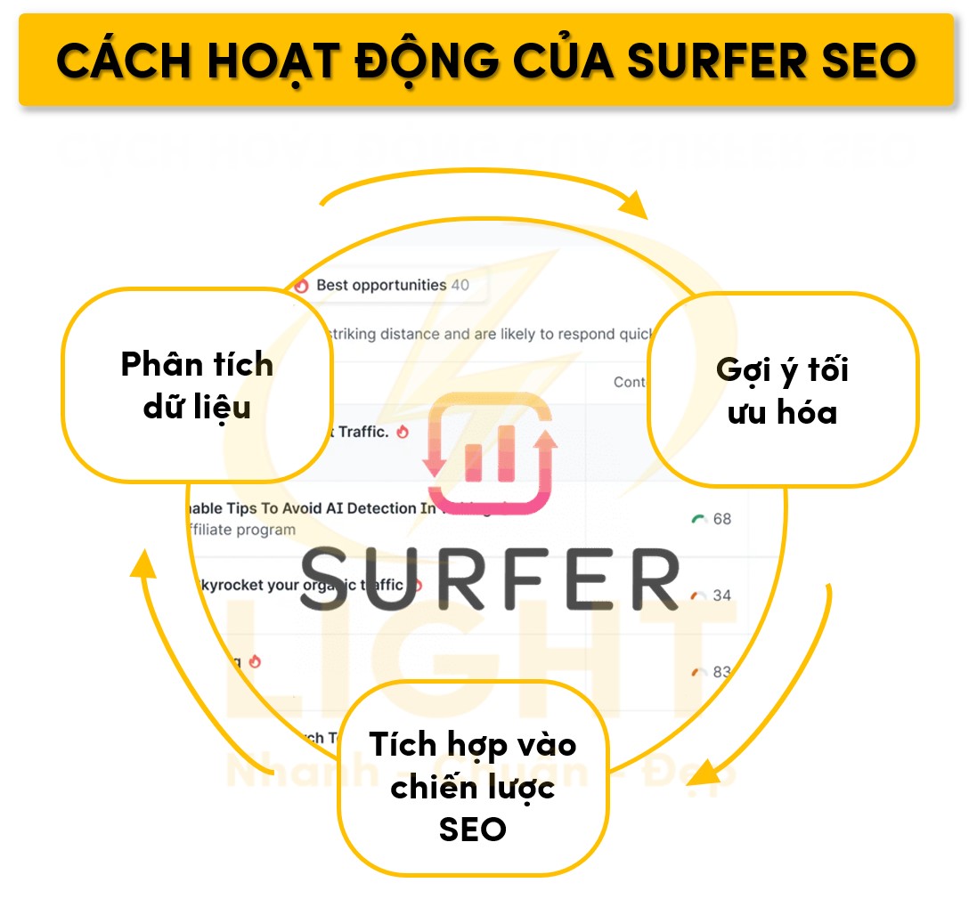 Nguyên lý hoạt động của Surfer SEO