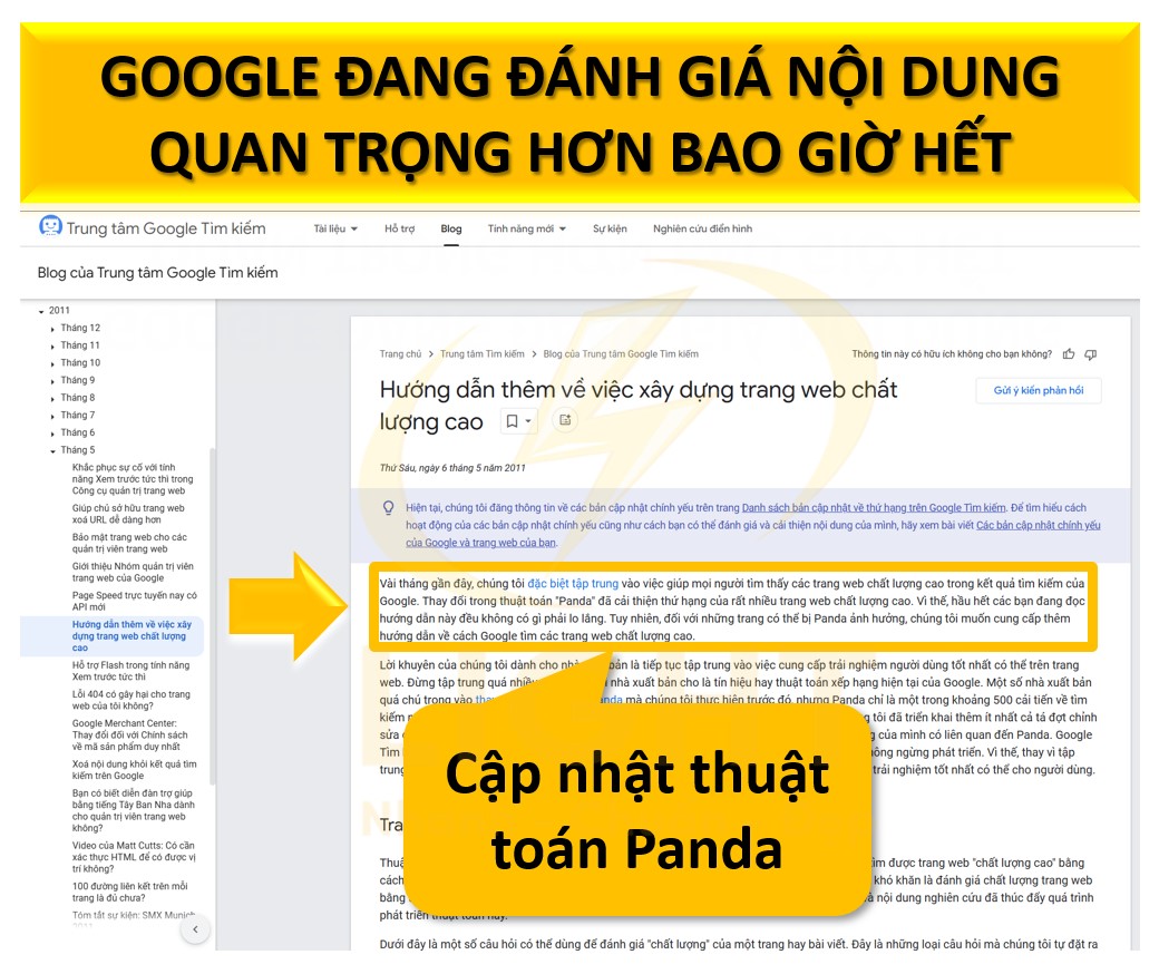 Cập nhật thuật toán như Panda để đánh giá được Google coi trọng nội dung