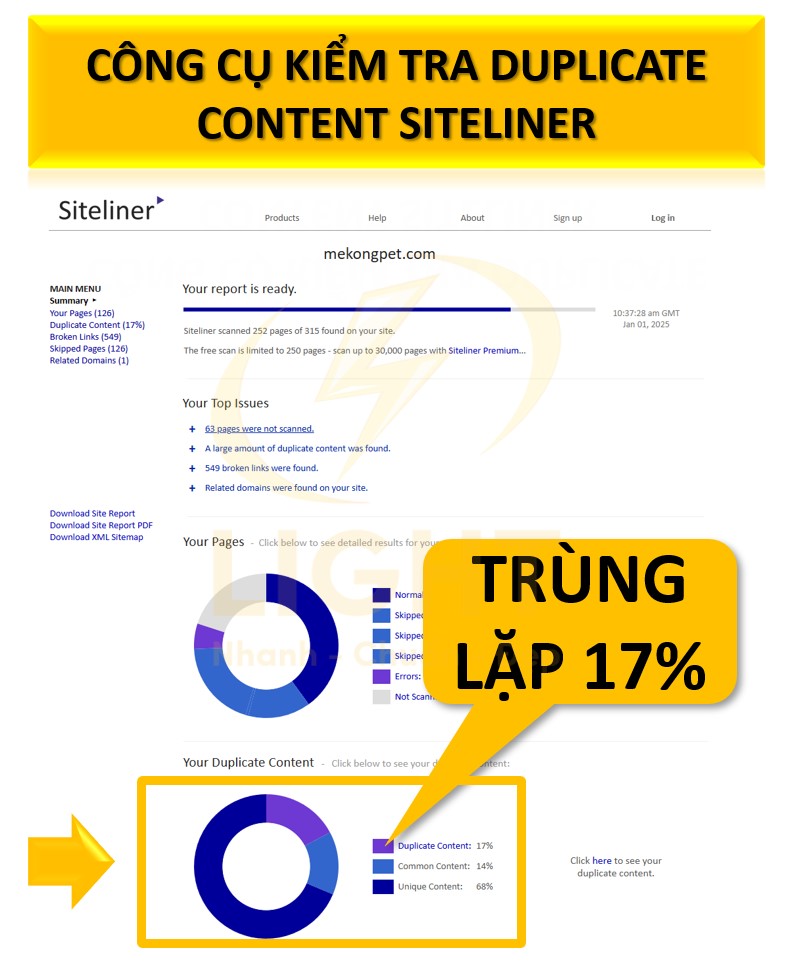 CÔNG CỤ KIỂM TRA DUPLICATE CONTENT SITELINER