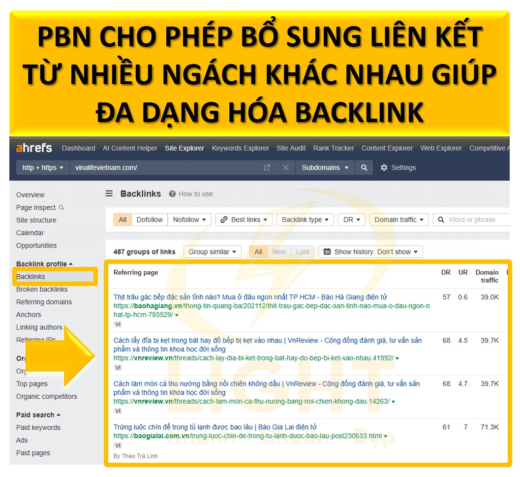 Đa dạng hóa nguồn backlink