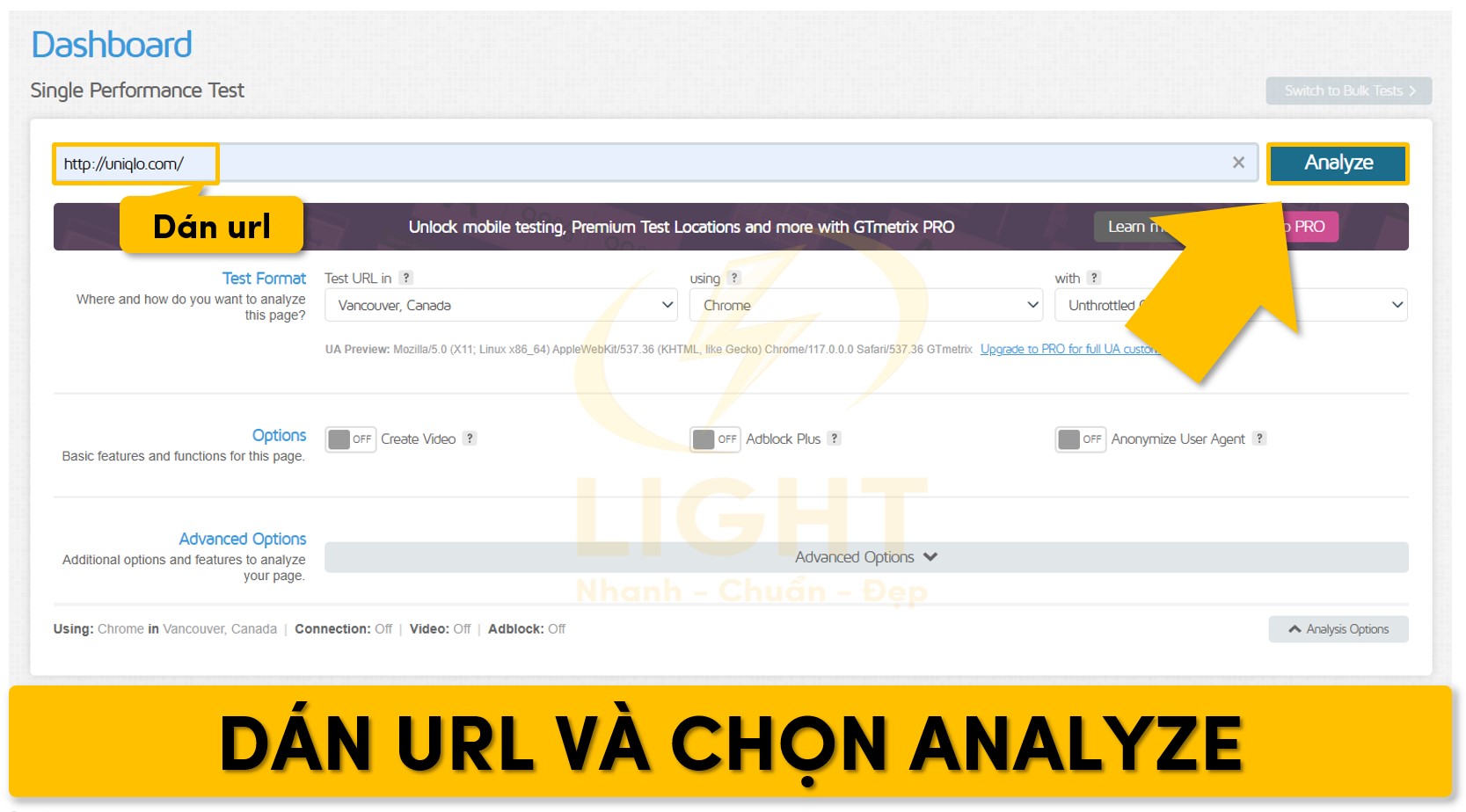 nhập chính xác URL cần phân tích vào ô "Analyze your site"