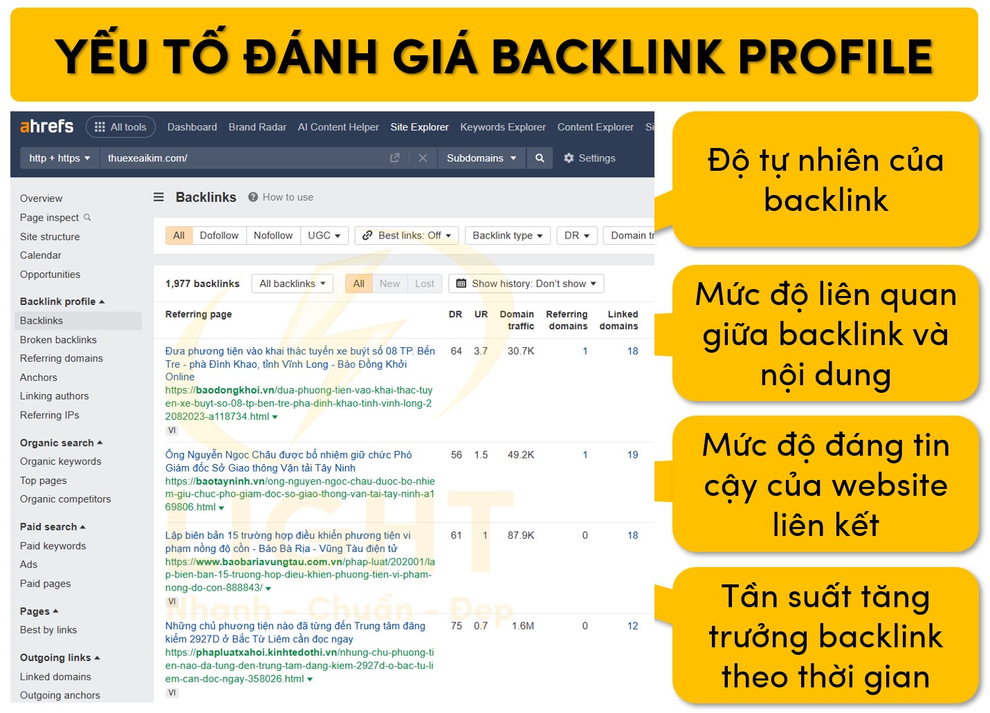 Yếu tố đánh giá chất lượng backlink profile