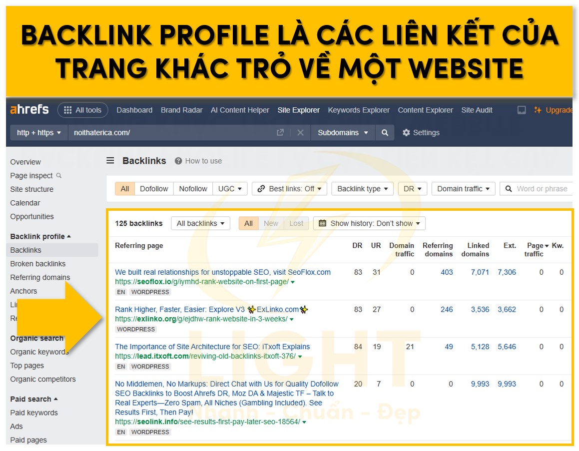 Backlink Profile là các liên kết ngoài của trang khác trỏ về một website