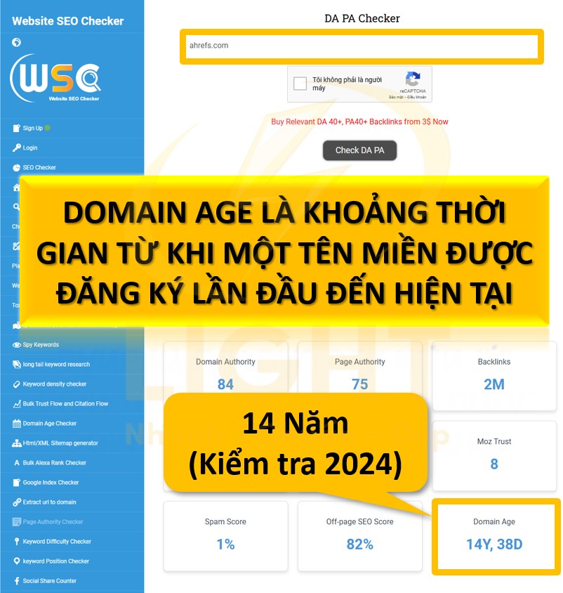 Domain Age là gì? 4 Cách Kiểm Tra Tuổi Đời Tên Miền Chi Tiết