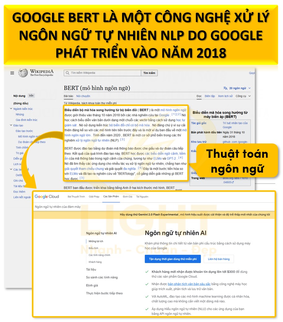 Google BERT là gì? Nó liên quan gì tới thứ hạng SEO