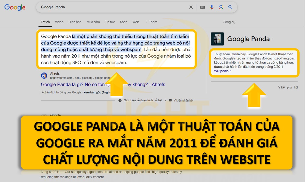 Thuật toán Google Panda Là gì? Cách khôi phục website khi bị Google Panda phạt