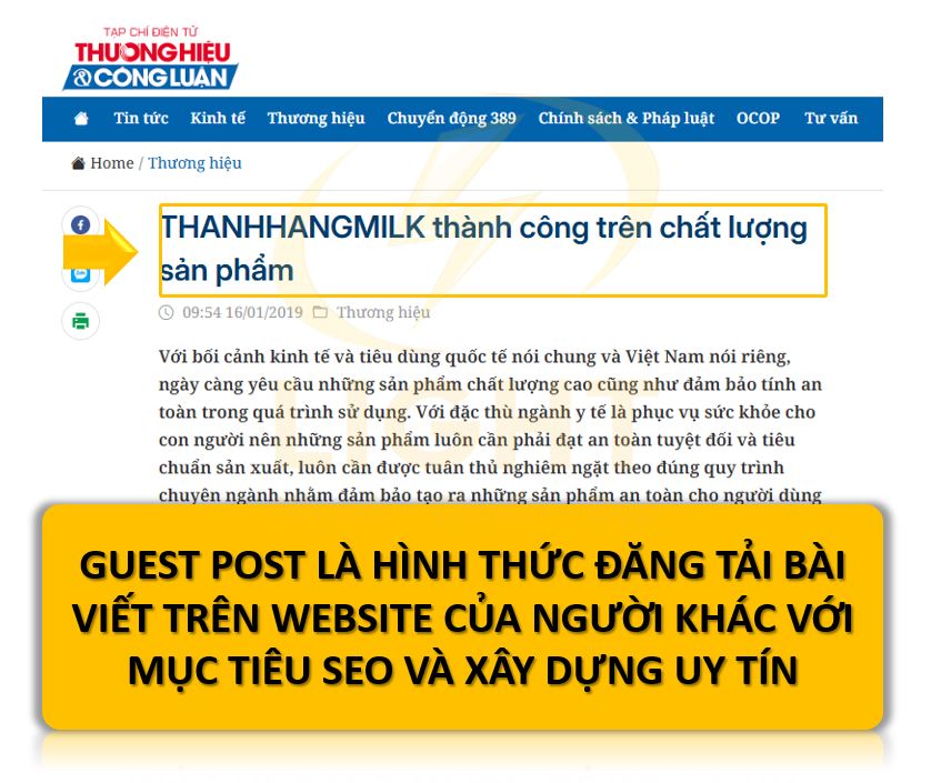 Guest Post là gì? 7 Tiêu chí chọn Guest Post hiệu quả