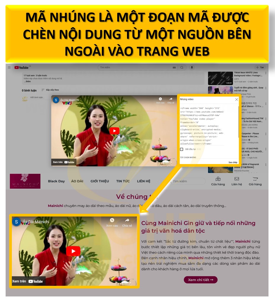 Mã nhúng là gì? Cách thêm mã nhúng như youtube, facebook, Google map và các loại khác vào website