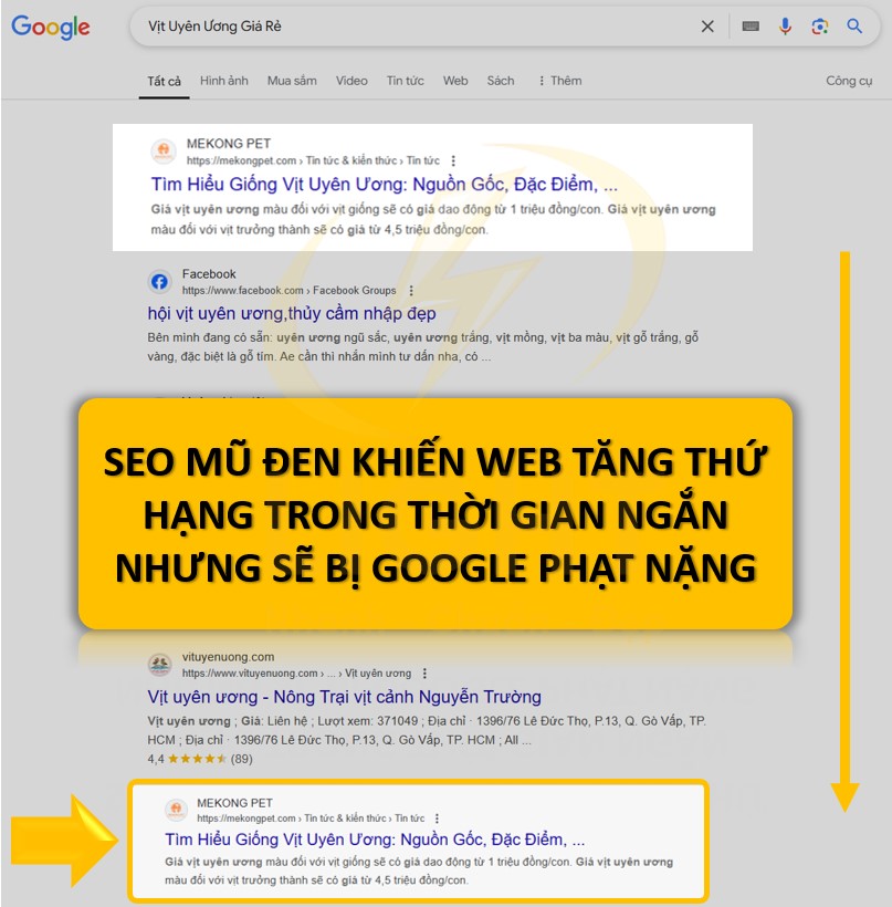 SEO mũ đen (Black Hat SEO) là những cách làm sai quy định để đẩy trang web lên top tìm kiếm