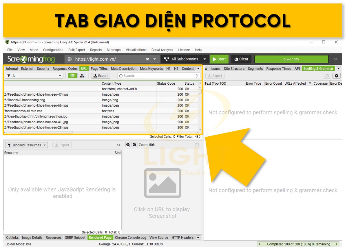 Khung giao diện Protocol của website trên Screaming Frog