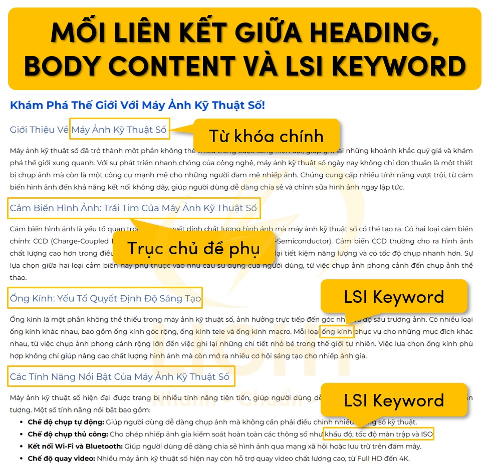 Mối quan hệ giữa Heading, Body content và LSI Keyword