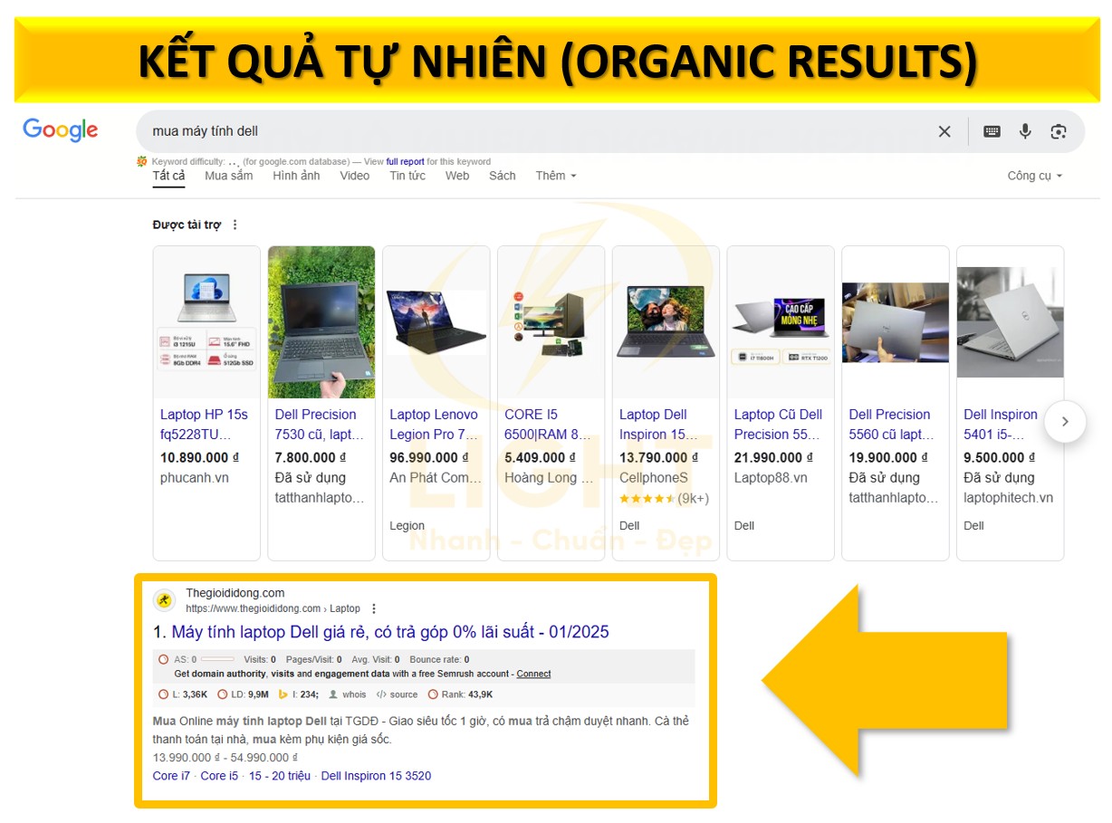 Kết quả tự nhiên (Organic Results)