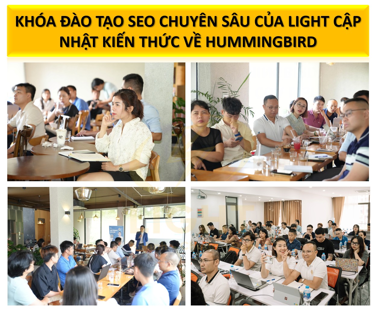 khóa đào tạo SEO chuyên sâu của Light cập nhật kiến thức về Hummingbird 