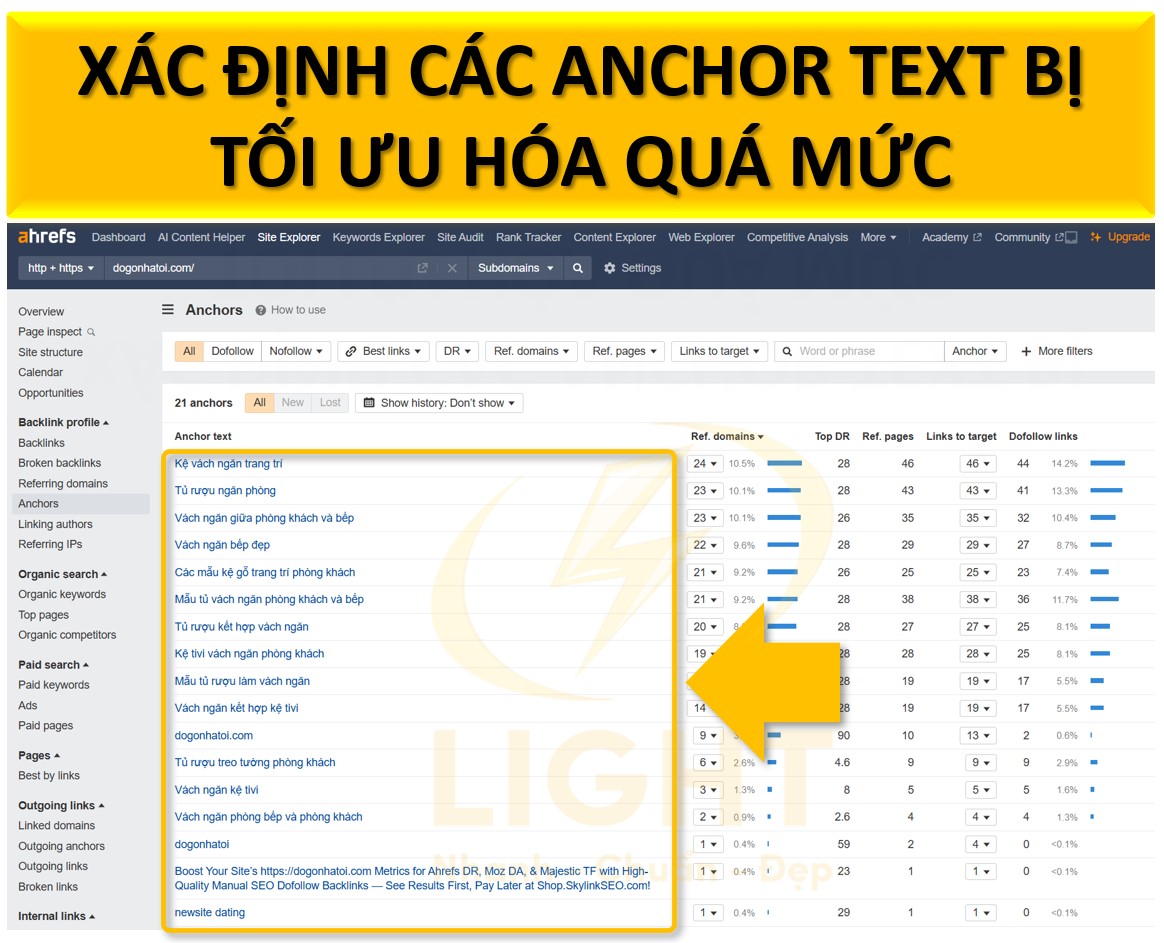 Kiểm tra anchor text