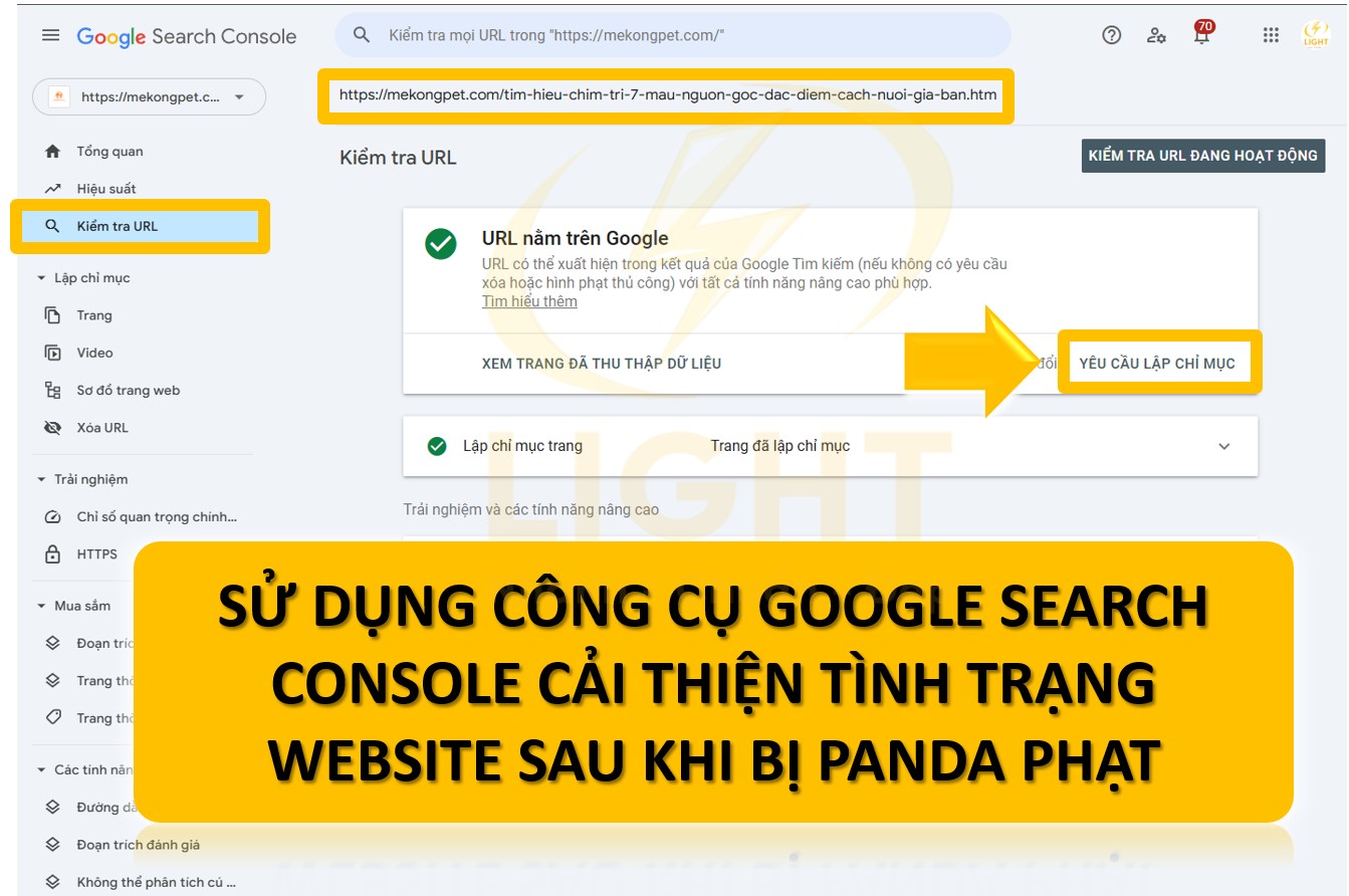 Google Search Console hỗ trợ theo dõi, đánh giá và cải thiện tình trạng website sau khi bị Panda phạt.