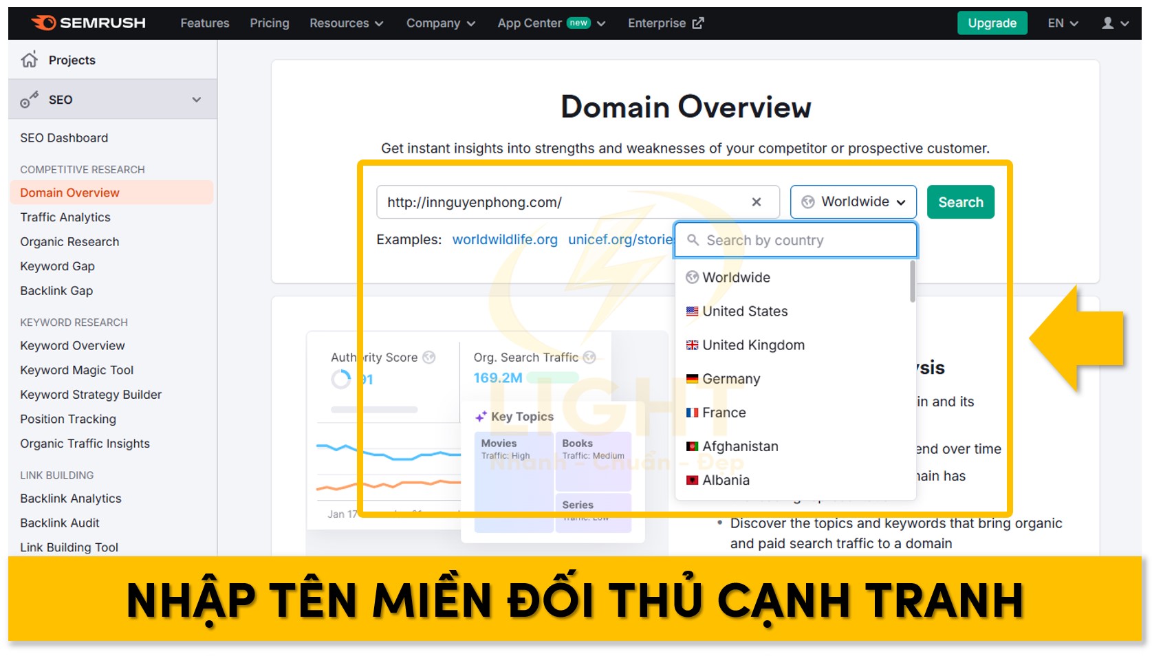 Dán tên miền đối thủ vào trong ô URL của Domain Overview