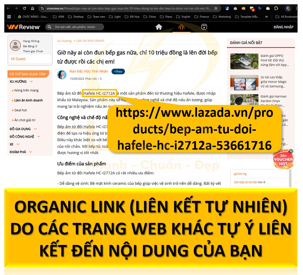 Organic Link (Liên kết tự nhiên)