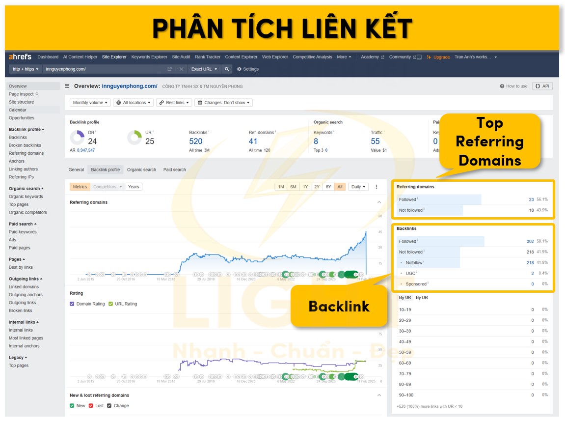 Phân tích liên kết