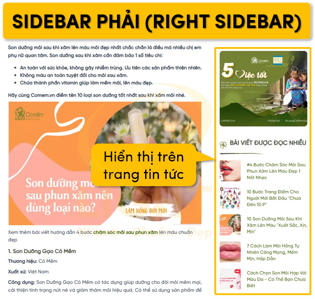 Dạng sidebar phải