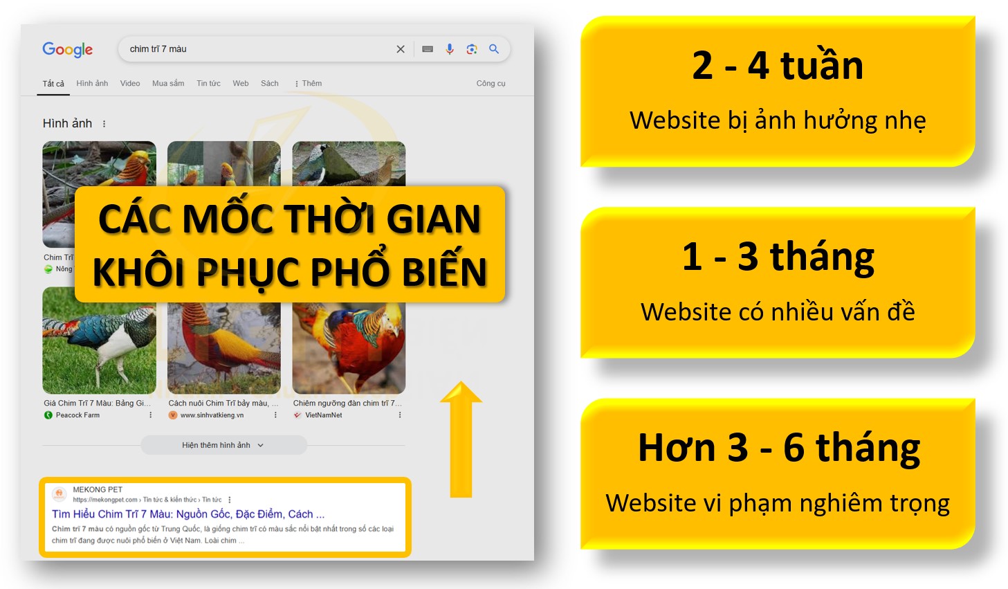 Các mốc thời gian khôi phục phổ biến