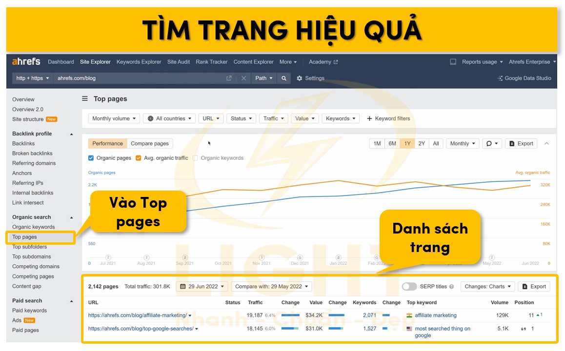 Truy cập tab Top Pages để xác định các trang có lượng backlink lớn nhất