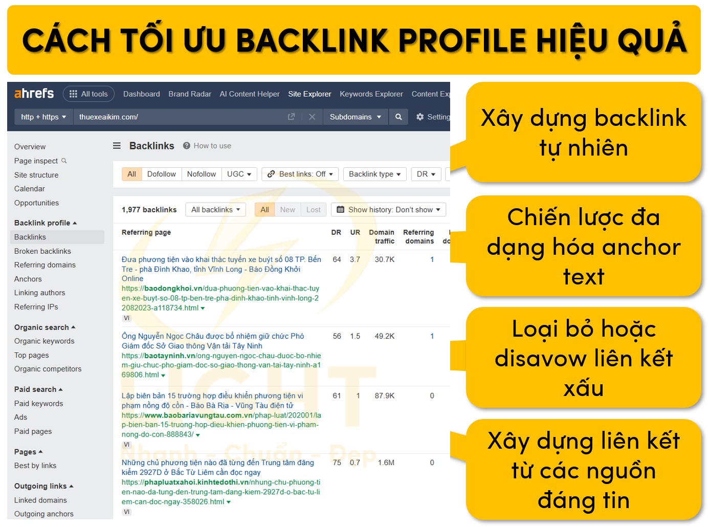 Phương pháp tối ưu backlink profile hiệu quả