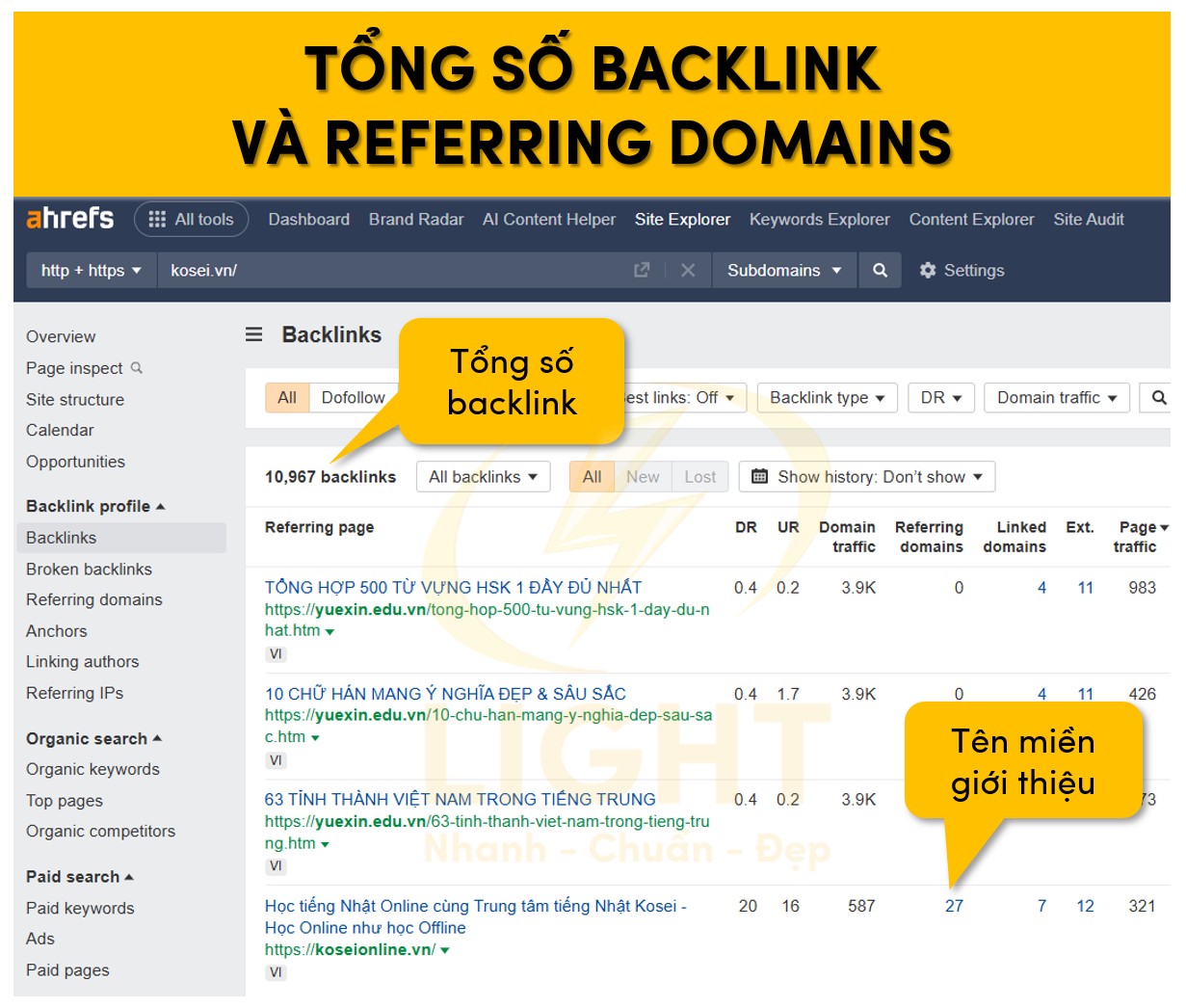 Số lượng Backlink và Referring Domains