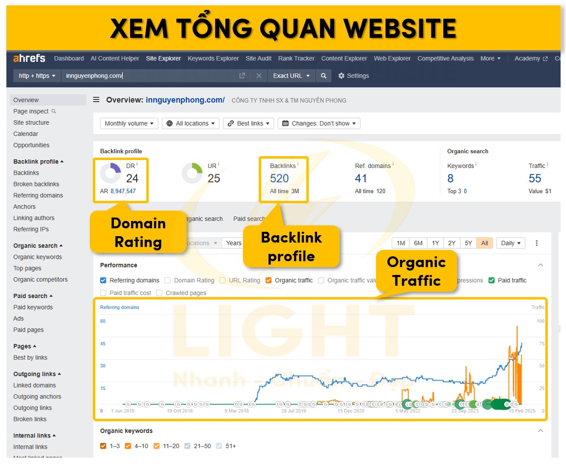 Xem tổng quan website