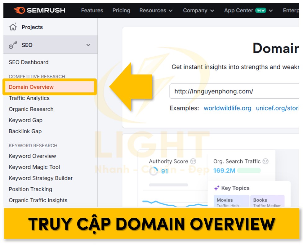 Tại thanh công cụ bên trái chọn vào Domain Overview