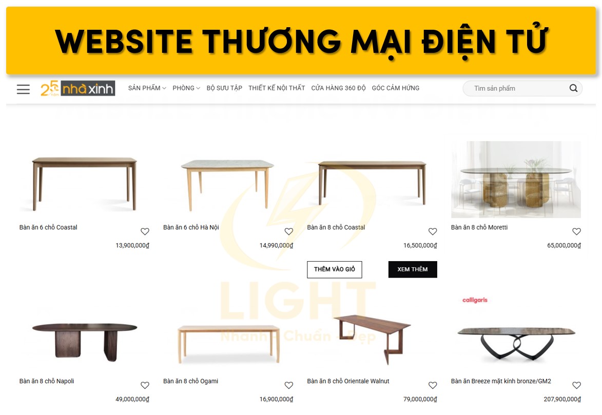 Dạng website thương mại điện tử