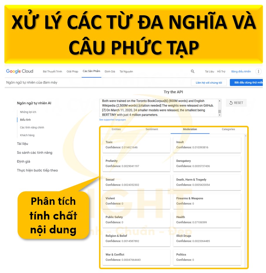 Xử lý các từ đa nghĩa và câu phức tạp