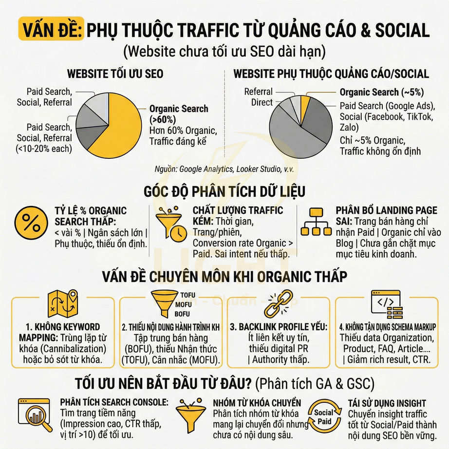 Infographic tiếng Việt về vấn đề website phụ thuộc traffic quảng cáo và social, phân tích tỷ lệ organic search và giải pháp SEO