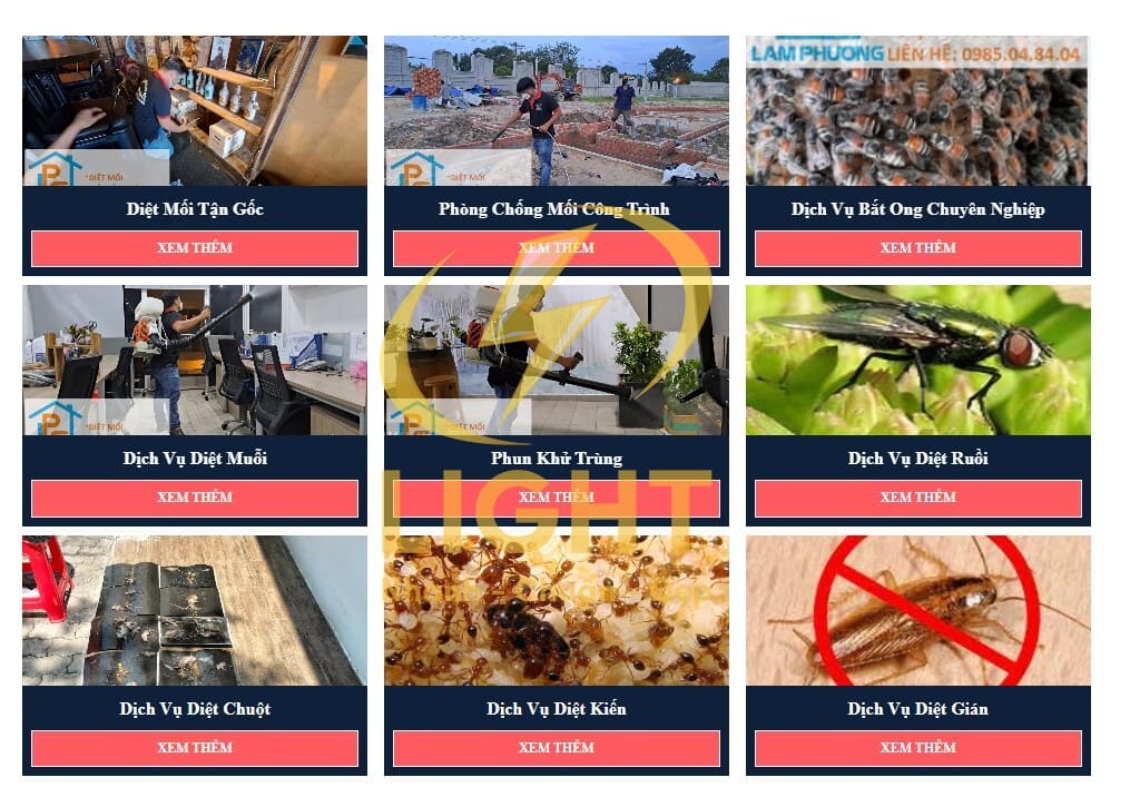 Giao diện hiển thị các dịch vụ một website cung cấp dịch vụ diệt côn trùng